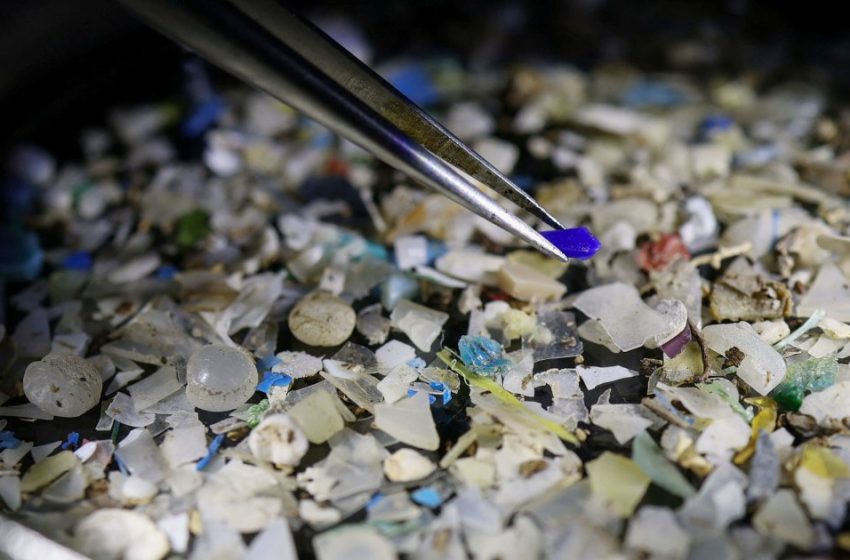  Microplastics found in prostate tumors in small study