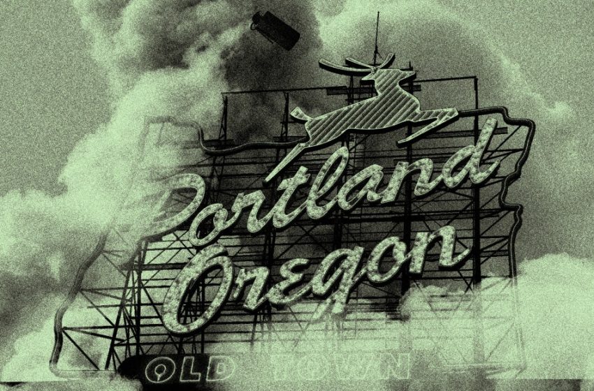  ICE tear gasses children in Portland