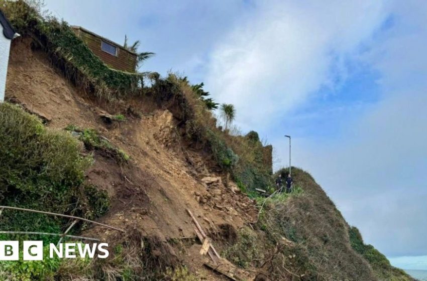  People and dogs rescued after cliff collapses – BBC