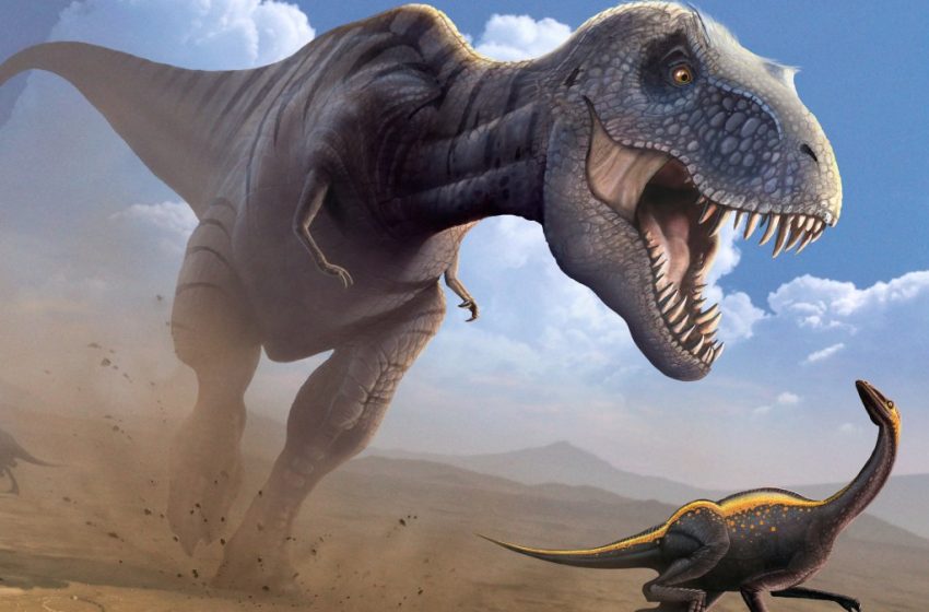  Tip-toeing T rex could beat Usain Bolt over 100m, study finds – The Times