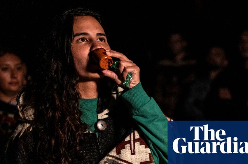  Ayahuasca psychedelic DMT shows promise as depression therapy | Drugs