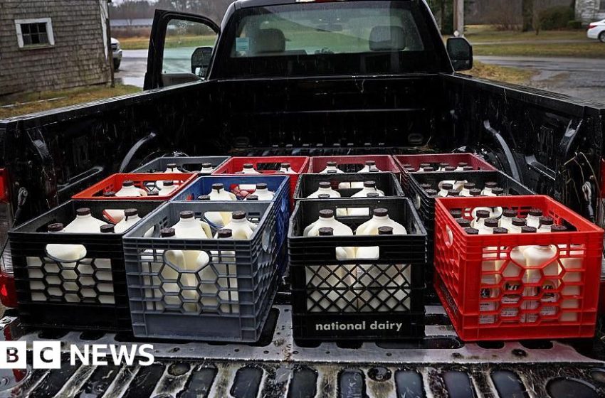  Experts warn against drinking raw milk after New Mexico baby's listeria death – BBC