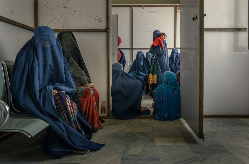  The Taliban’s new penal code: Two weeks in jail for breaking a woman’s arm and five months for mistreating a camel | International