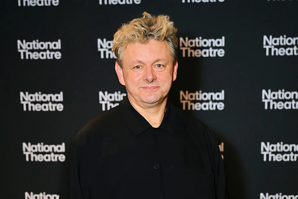 <p>Michael Sheen</p>