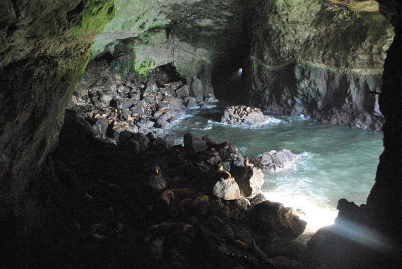  Researchers discover world’s oldest sewn hide, dated to Ice Age, in Oregon caves