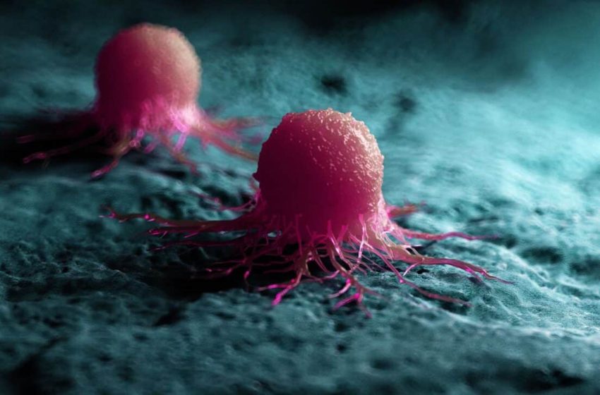  The Hidden Tumor Trick That Fooled the Immune System for Years