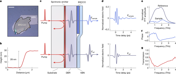  Imaging a terahertz superfluid plasmon in a two-dimensional superconductor