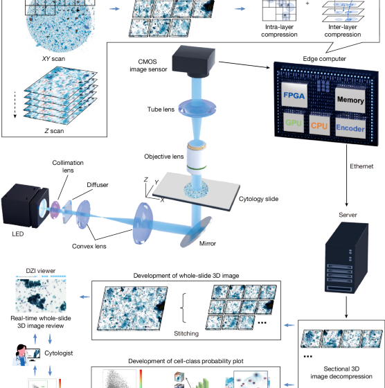  Clinical-grade autonomous cytopathology through whole-slide edge tomography
