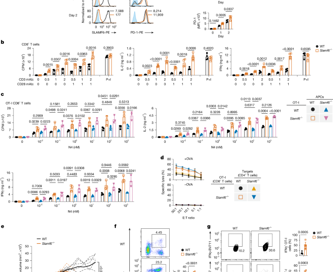  SLAMF6 as a drug-targetable suppressor of T cell immunity against cancer