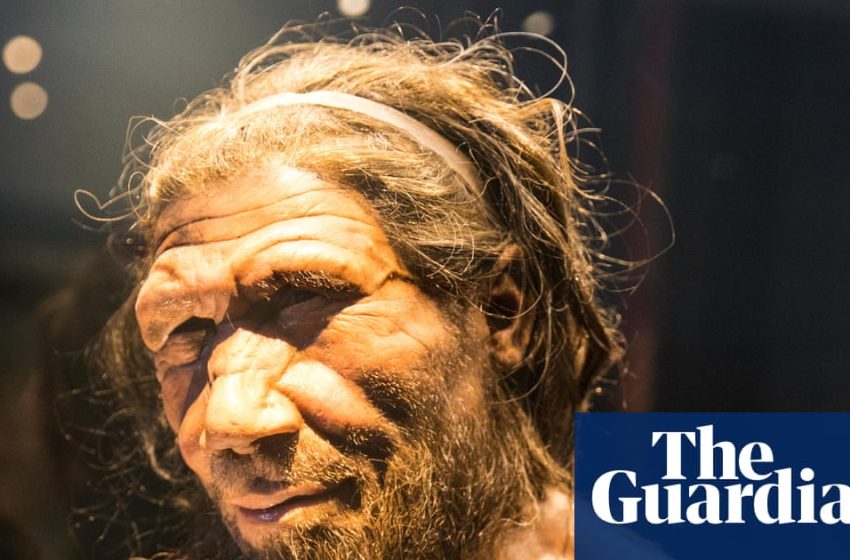  Research suggests mating direction bias between Neanderthals and humans | Neanderthals