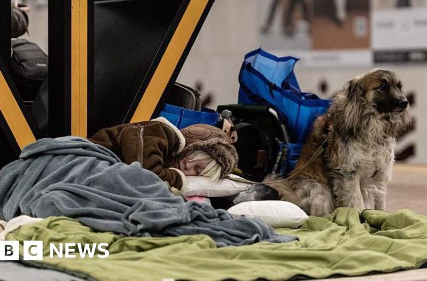  US wants Russia and Ukraine to end war by June, says Zelensky – BBC