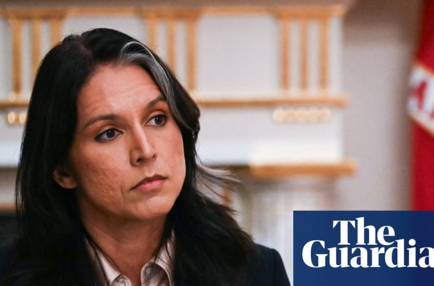  Georgia Democrats call for inquiry into Gabbard’s presence at Fulton county search | Georgia