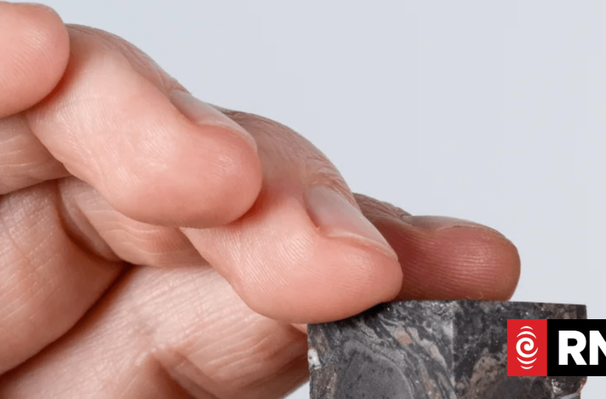  New analysis suggests puzzling fossil may have been an unknown lifeform