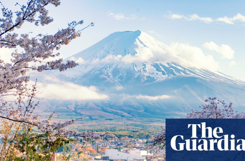  Japan cherry blossom festival cancelled because of unruly tourist ‘crisis’ | Japan