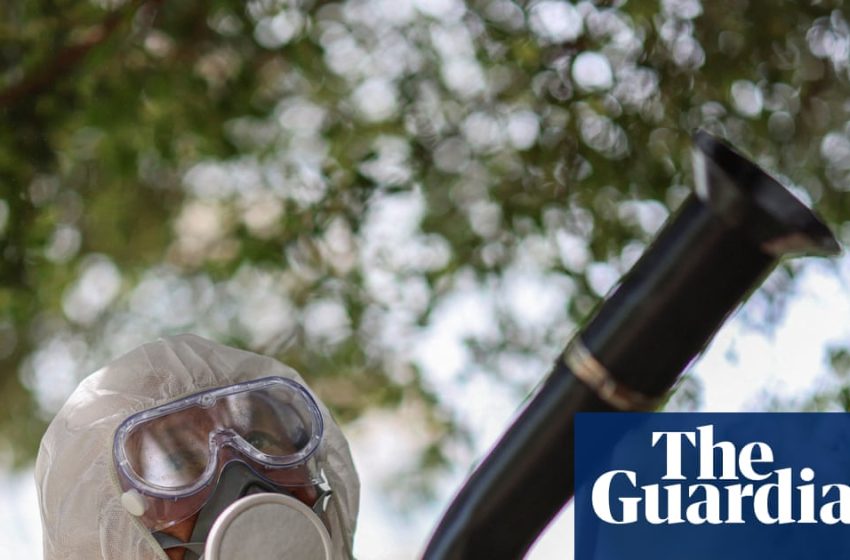  Excruciating tropical disease can now be transmitted in most of Europe, study finds | Infectious diseases