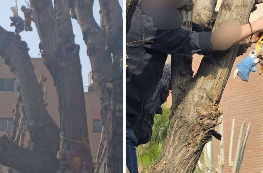  Khamenei ‘rat’ taunt spills from social media onto Iran’s campuses