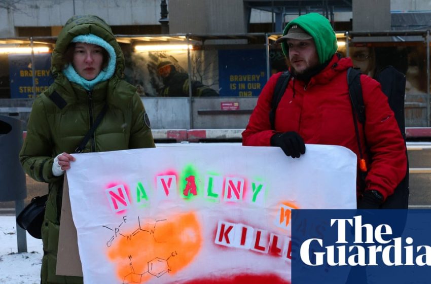  Was Navalny poisoning by frog toxin meant to send a message? | Alexei Navalny