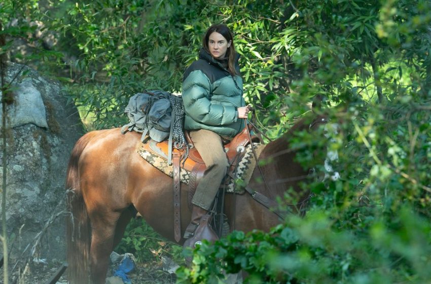  ‘Paradise’ Episode 1 Recap: Shailene Woodley in ‘Graceland’