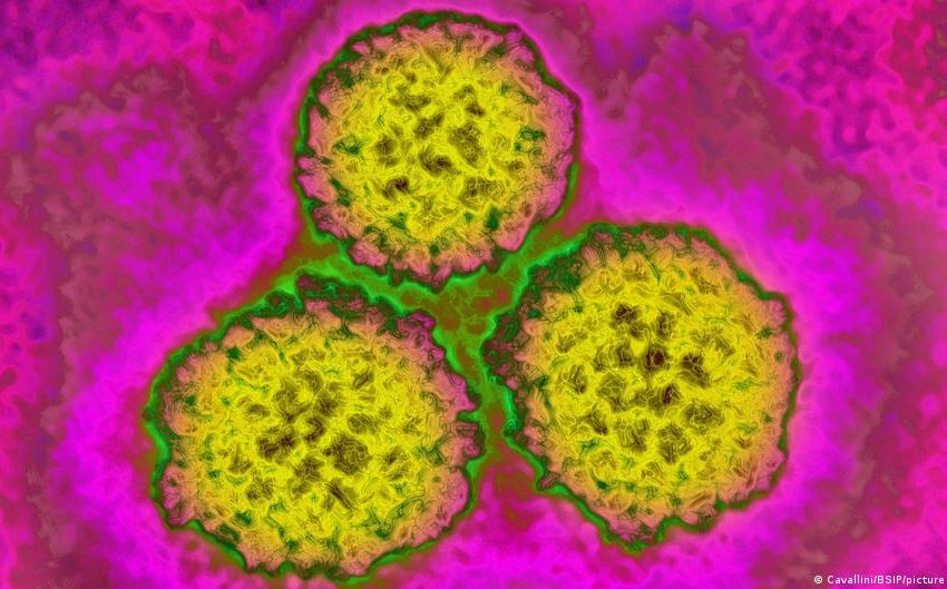  new WHO study maps risks