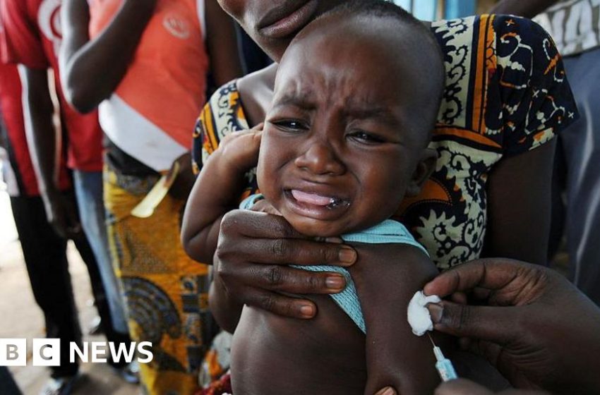  Planned US-funded baby vaccine trial in Guinea-Bissau blasted by WHO – BBC