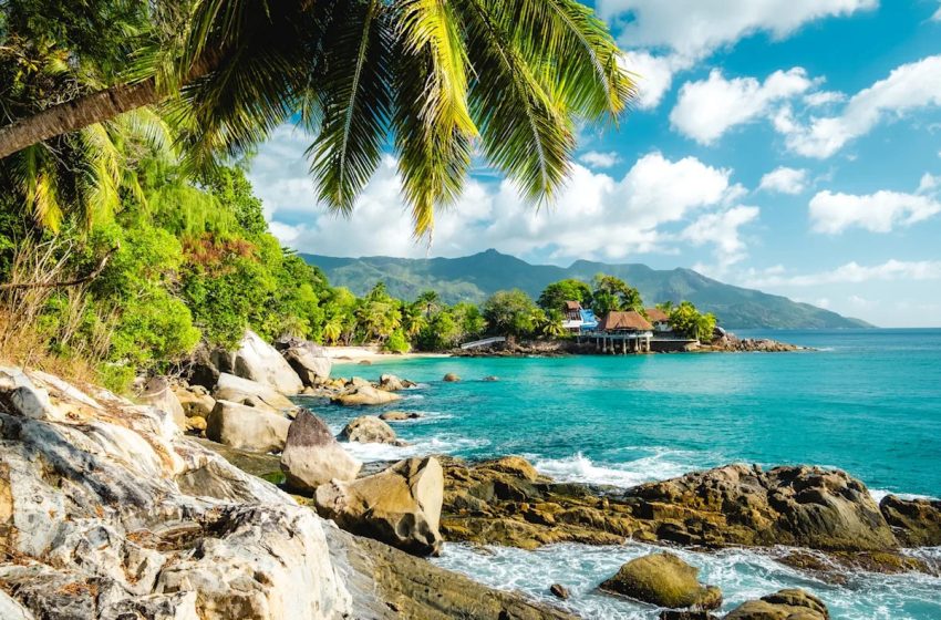  CDC warns about traveling to popular island destination due to outbreak of untreatable virus