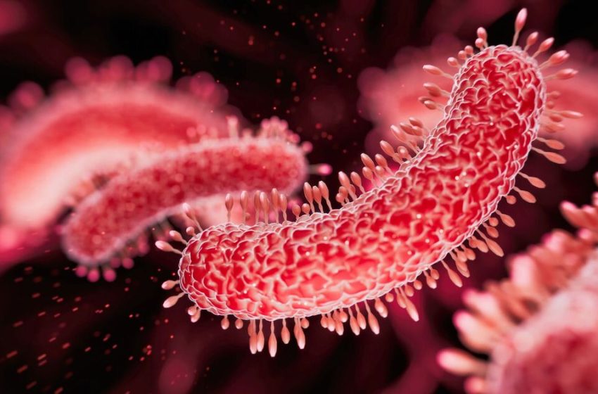  Victorian-era disease branded world’s ‘most infectious’ rips through UK | UK | News