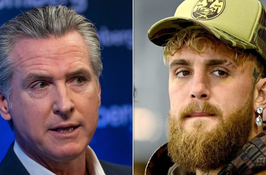  Gavin Newsom Slams Trump Loving Boxer As Snowflake