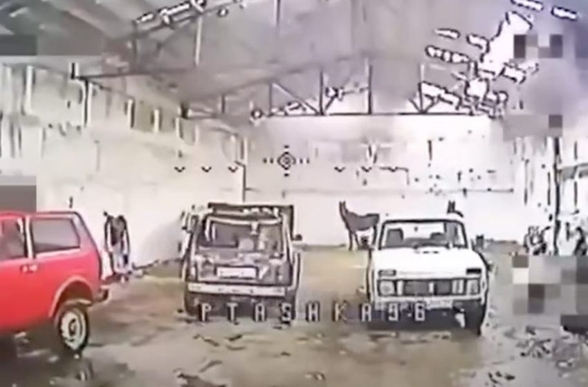  Ukrainian Drone Pilot Finds Russian Arsenal, Filled With Horses, Cars