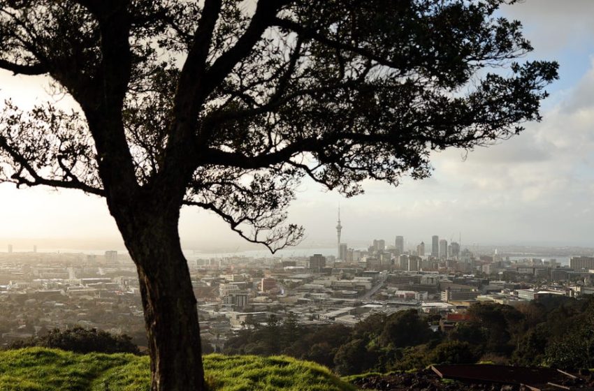  The Mega-Rich Are Moving. Here’s Where They’re Going.