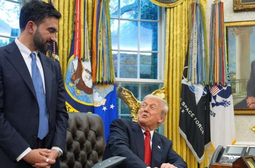  Zohran Mamdani’s Savvy With Donald Trump Is Lighting up the Internet