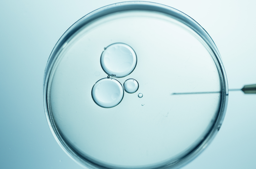  The Woman Who Paved the Way for IVF