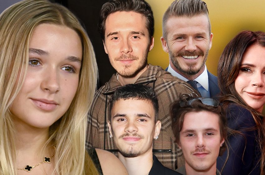  Harper Beckham Shows Love to Brothers Amid Family Feud