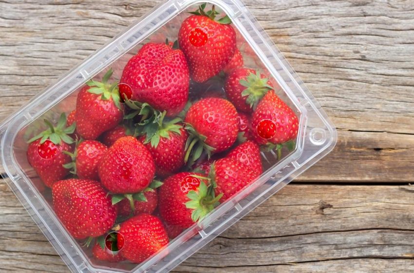  Why Strawberries Aren’t As Sweet Anymore