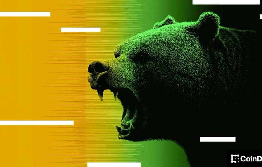  BTC likely closer to bottom than top as bears celebrate