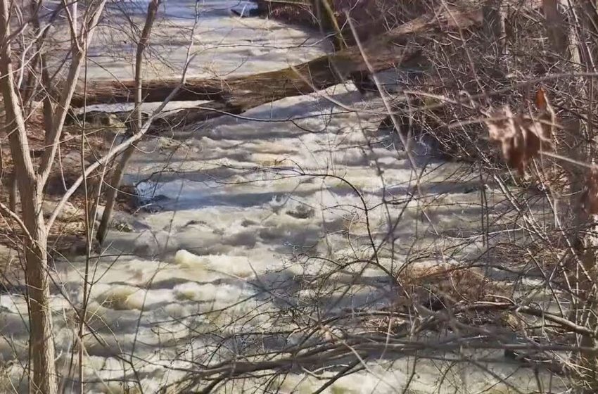  ‘Remnants of sewage’ including toilet paper, left behind after wastewater pipe collapse