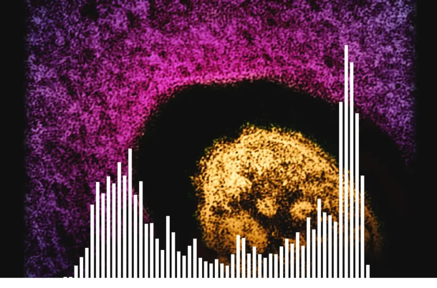  Latest measles case map, outbreak numbers. See impacted states.