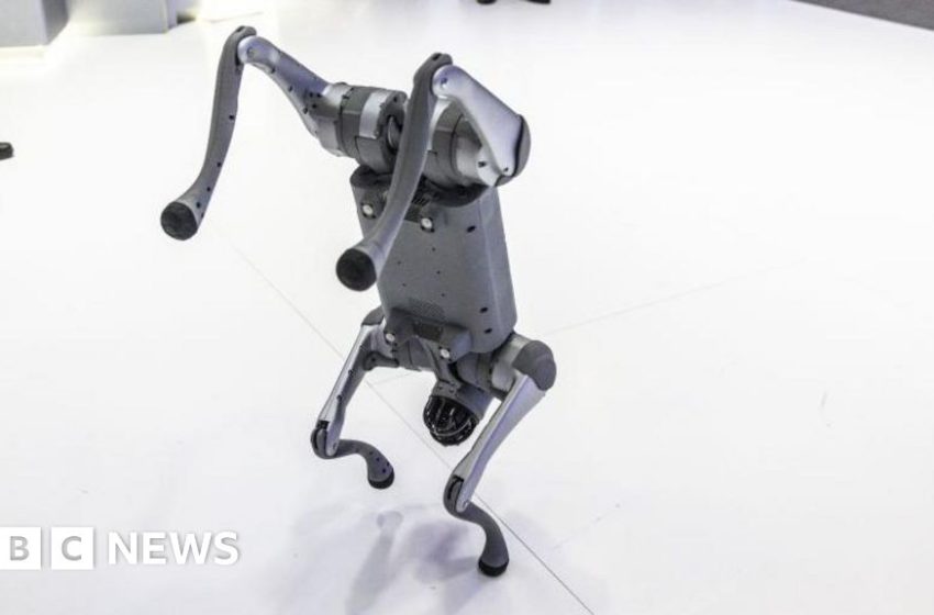  Indian university faces backlash for claiming Chinese robodog as own at AI summit – BBC