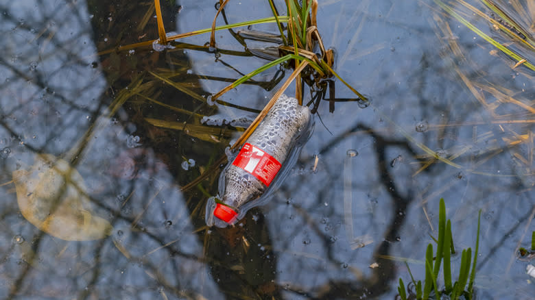A bottle of Coca-Cola floating on a lake's surface