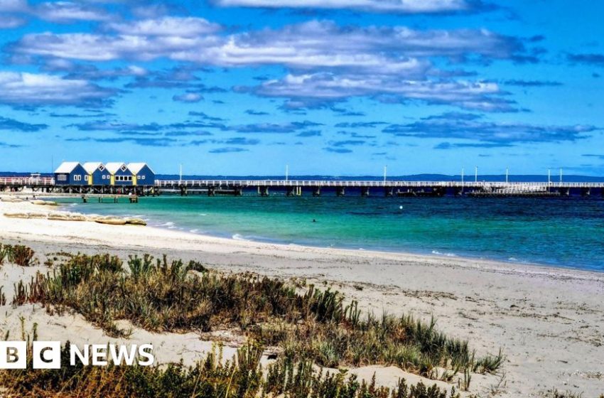  'Brave' boy, 13, swims 4km to save family stranded off Australia coast – BBC