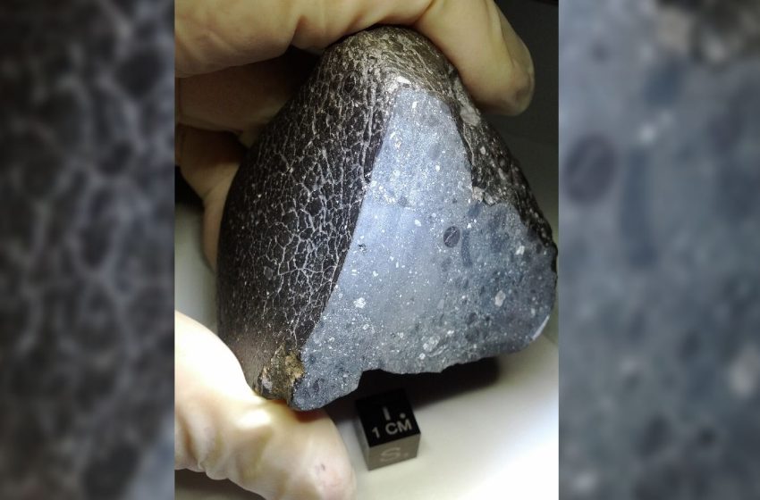  Martian meteorite that fell to Earth is full of ancient water, new scans reveal