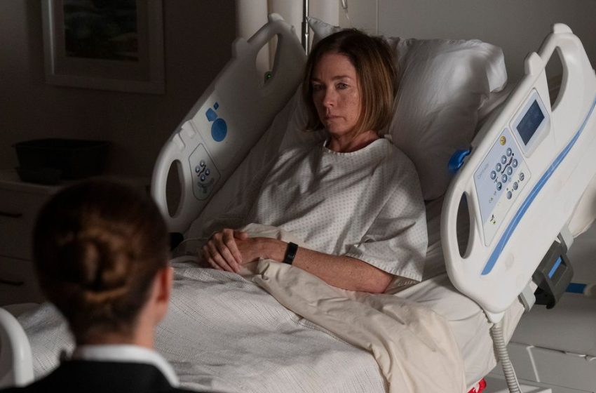  The Link and Alex Connection