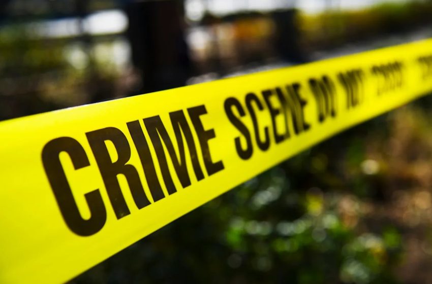  Co-founder of popular clothing brand dies after 17-story fall