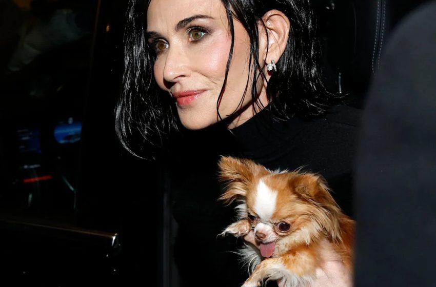  Demi Moore’s Drastic Bob Comes After Years of Resisting Pressure to Cut Her Waist-Length Hair