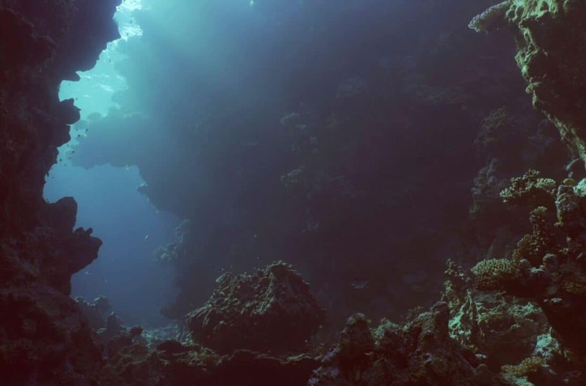  A Chinese Team Found Something Incredible 10,000 Meters Below the Ocean, Here’s What What They Discovered