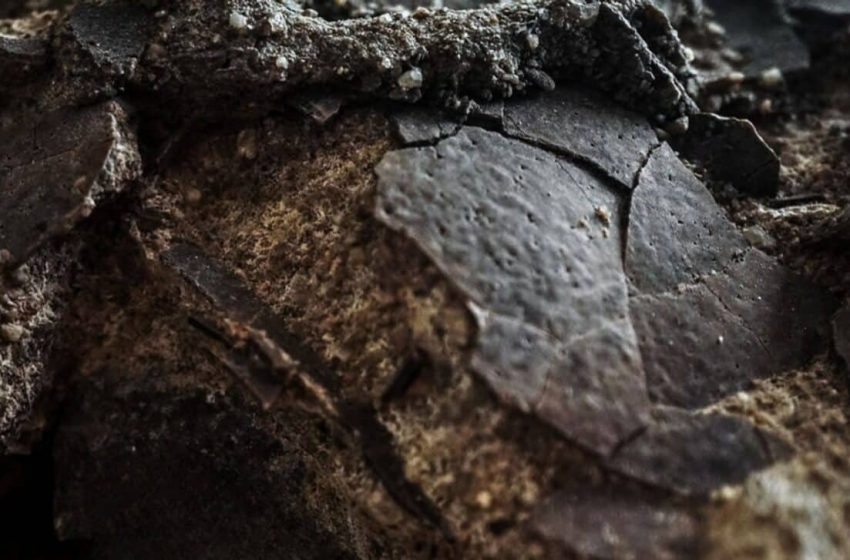  Buried in Stone for 150 Million Years, Intact Dinosaur Eggs Found Preserved Exactly Where a Jurassic Predator Laid