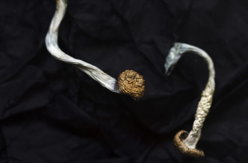  Compass says psilocybin drug for severe depression succeeds in trials