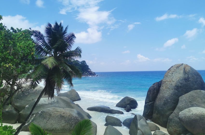  CDC issues health alert after virus outbreak hits popular honeymoon destination