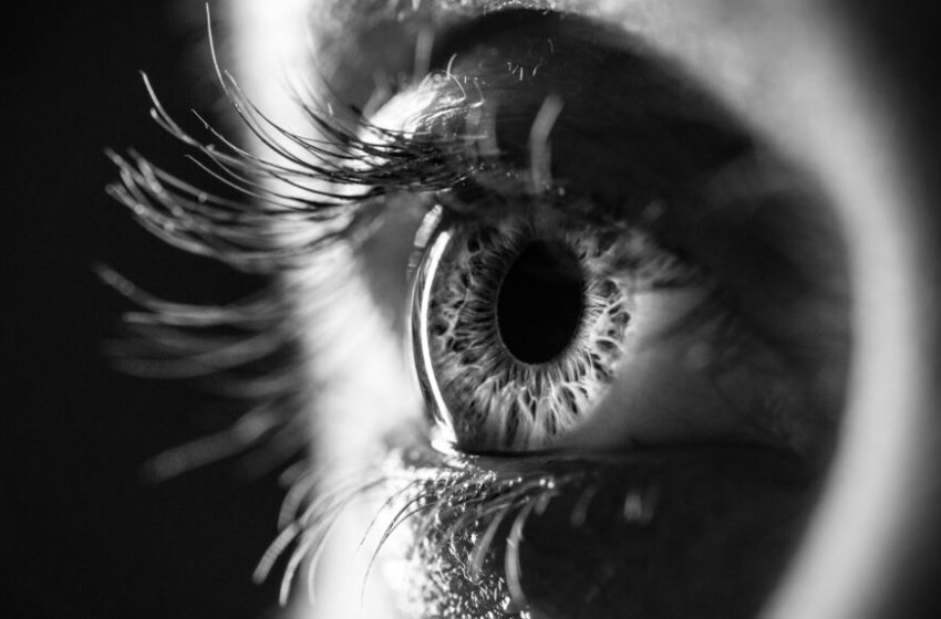  Ocular Therapeutix wet AMD drug Axpaxli tops Eylea in study