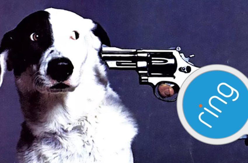  Amazon’s Ring Wants to Wash Away Your Surveillance Concerns With Lost Puppies