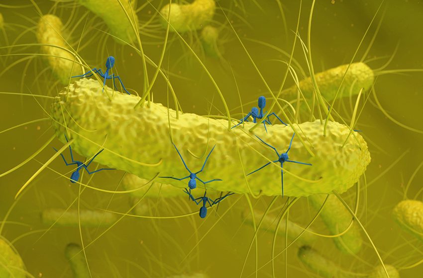  Hidden Virus Found in Gut Bacteria Is Linked to Colorectal Cancer : ScienceAlert